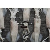 THE DAILY CATCH – ONLINE SHOP