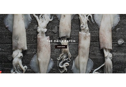 THE DAILY CATCH – ONLINE SHOP